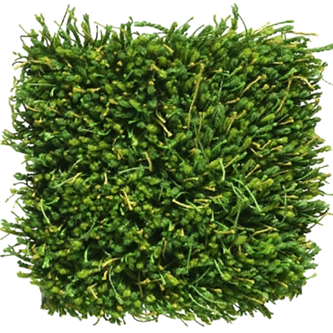 Hovedbilde Kasthall Moss gulvteppe 170 x240cm